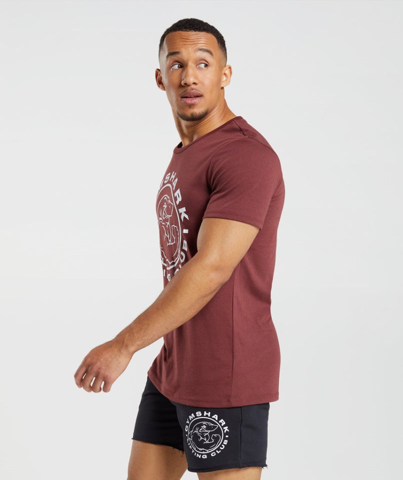 Men's Gymshark Legacy T-Shirts Burgundy | CA 0A1357